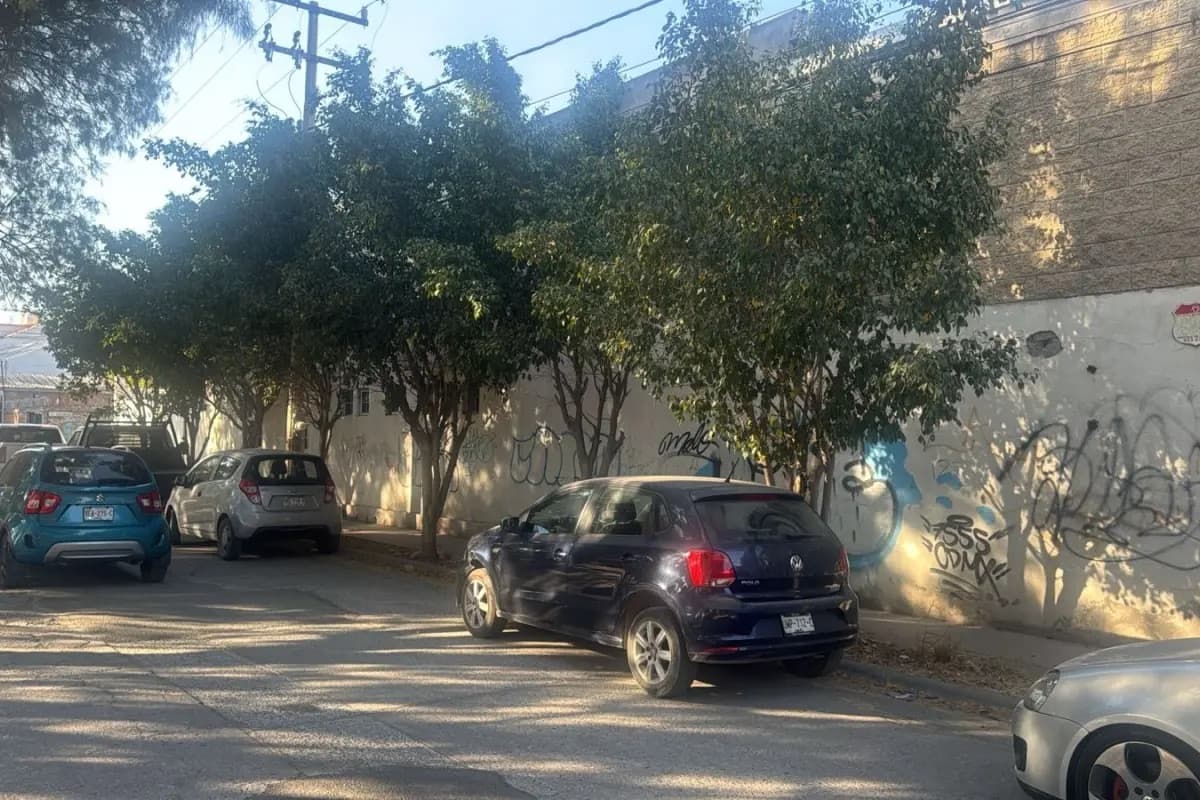 Bodega Las Mercedes 5